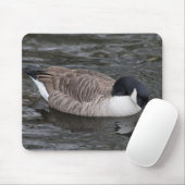 Kanada Gänse Mousepad (Mit Mouse)