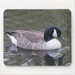 Kanada Gänse Mousepad