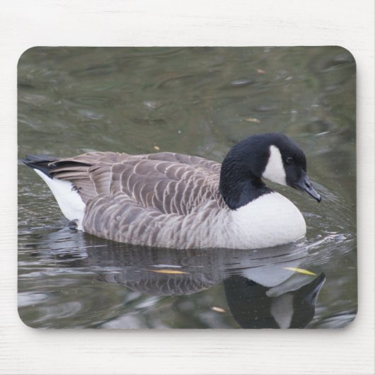 Kanada Gänse Mousepad (Vorne)
