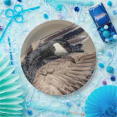 Kanada Gänse Pappteller (Party)