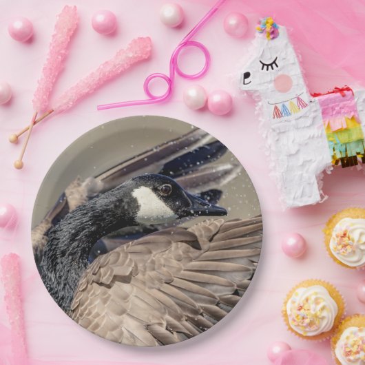 Kanada Gänse Pappteller (Party)