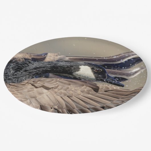 Kanada Gänse Pappteller (Schrägansicht)