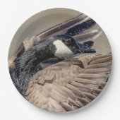 Kanada Gänse Pappteller (Vorderseite)