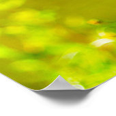 Kanada Gänse Poster (Ecke)