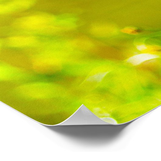 Kanada Gänse Poster (Ecke)