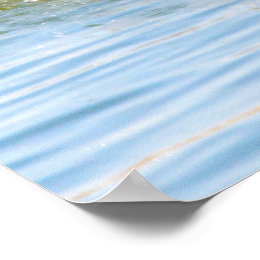 Kanada Gänse Poster (Ecke)