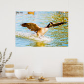 Kanada Gänse Poster (Küche)
