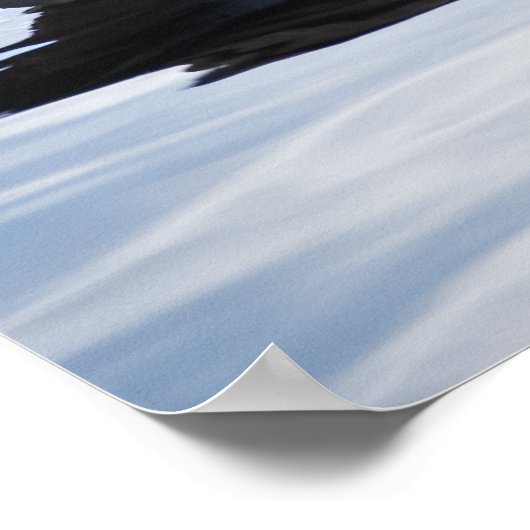 Kanada Gänse Poster (Ecke)