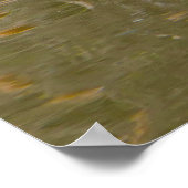 Kanada Gänse Poster (Ecke)