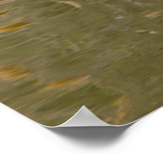 Kanada Gänse Poster (Ecke)