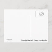 Kanada Gänse Postkarte (Rückseite)