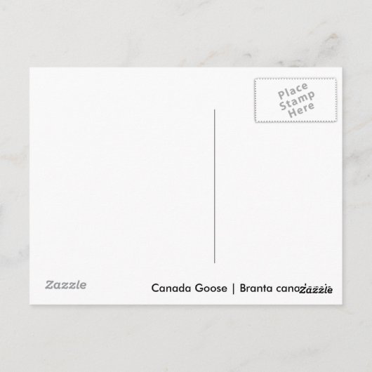 Kanada Gänse Postkarte (Rückseite)