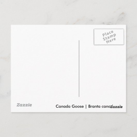 Kanada Gänse Postkarte (Rückseite)