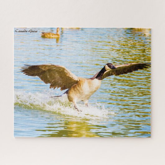 Kanada Gänse Puzzle (Horizontal)