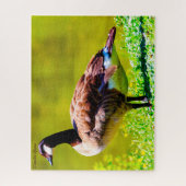 Kanada Gänse Puzzle (Vertikal)