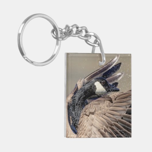 Kanada Gänse Schlüsselanhänger (Vorderseite links)