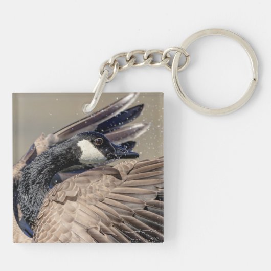 Kanada Gänse Schlüsselanhänger (Rückseite)