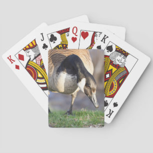 Kanada Gänse Spielkarten