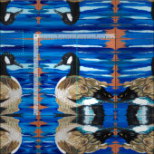 Kanada Gänse Stoff (Kachel)