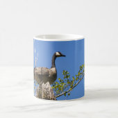 Kanada Gänse-Tasse Kaffeetasse (Mittel)