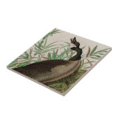 Kanada Gänse Vögel Amerika Audubon Print Fliese (Seite)