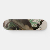 Kanada Gänse Vögel Amerika Audubon Print Skateboard (Horizontal)