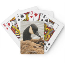 Kanada Gänseanbau am See