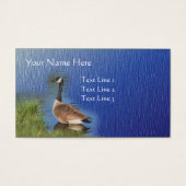 Kanada Gänseart Art (Vorderseite)