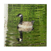 (Kanada) Gänsegrün Fliese (Vorderseite)