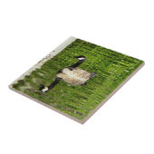 (Kanada) Gänsegrün Fliese (Seite)