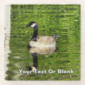 (Kanada) Gänsegrün Glasuntersetzer (Vorderseite)