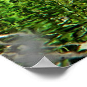 (Kanada) Gänsegrün Poster (Ecke)