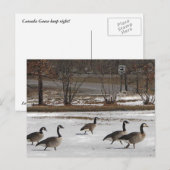 Kanada Geese Behalte Recht Postkarte (Vorne/Hinten)