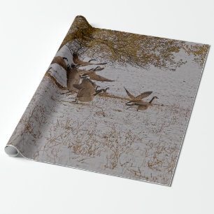 KANADA GEESE GESCHENKPAPIER