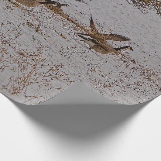 KANADA GEESE GESCHENKPAPIER (Ecke)