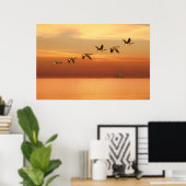 Kanada Geflügel im Flug bei Sunset Poster (Heimbüro)