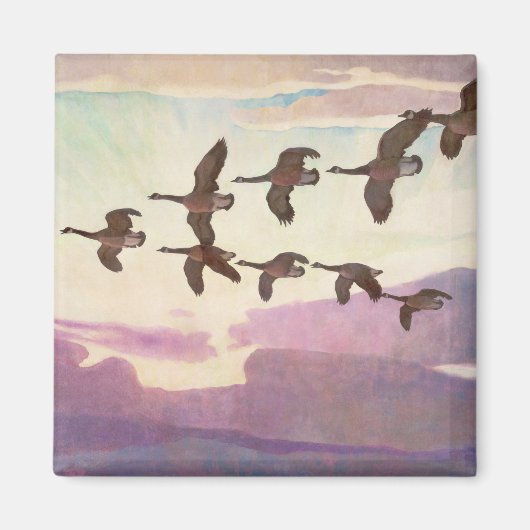 Kanada Geflügel im Frühjahr von Newell Convers Wye Magnet (Vorne)