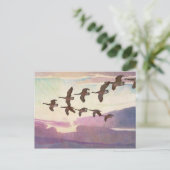 Kanada Geflügel im Frühjahr von Newell Convers Wye Postkarte (Stehend Vorderseite)