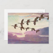 Kanada Geflügel im Frühjahr von Newell Convers Wye Postkarte (Vorne/Hinten)