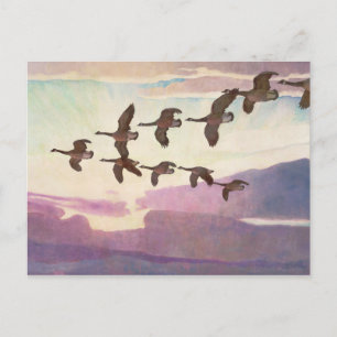 Kanada Geflügel im Frühjahr von Newell Convers Wye Postkarte