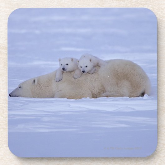 Kanada Getränkeuntersetzer (Vorderseite)