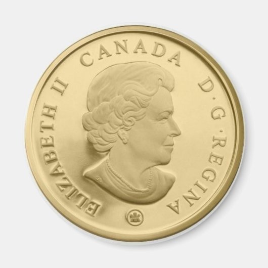 Kanada Gold Dollar Face Magnet (Vorne)
