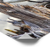 KANADA GOOSE 2 POSTER (Ecke)