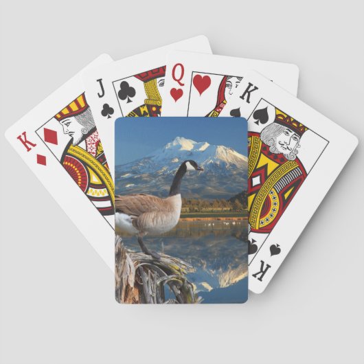 KANADA GOOSE AM SEE SPIELKARTEN (Rückseite)