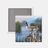 KANADA GOOSE AUF DER SHASTA MAGNET (Vorderseite/Rückseite)