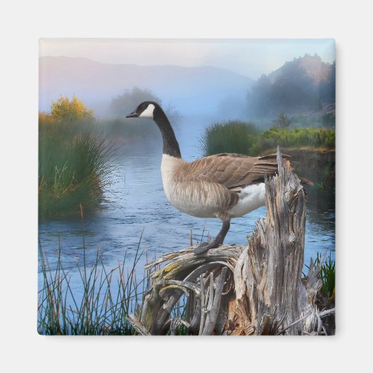 KANADA GOOSE AUF DER SHASTA MAGNET (Vorne)