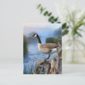 KANADA GOOSE AUF DER SHASTA POSTKARTE (Stehend Vorderseite)