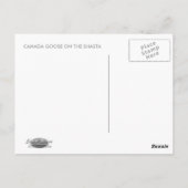 KANADA GOOSE AUF DER SHASTA POSTKARTE (Rückseite)