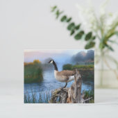 KANADA GOOSE AUF DER SHASTA POSTKARTE (Stehend Vorderseite)