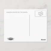 KANADA GOOSE AUF DER SHASTA POSTKARTE (Rückseite)